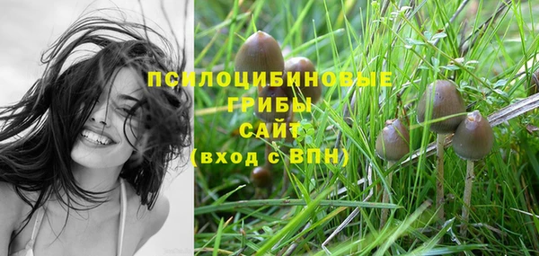 альфа пвп Баксан