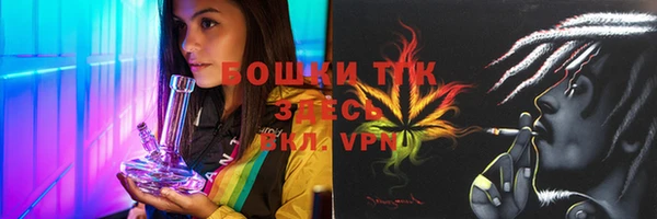 ешки Арсеньев
