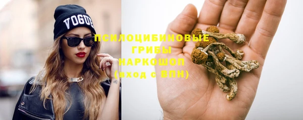 сатива Балабаново