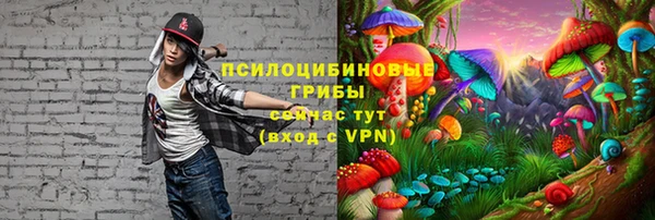 PSILOCYBIN Аркадак