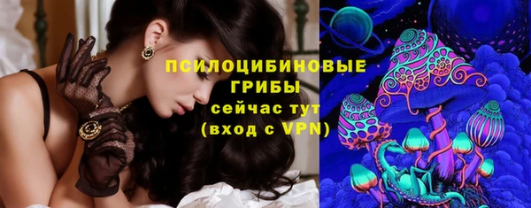 PSILOCYBIN Аркадак