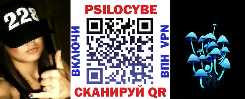 Галлюциногенные грибы Psilocybe  OMG как войти  Боровичи 